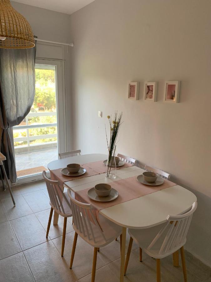 Gerakini apartment Psakoudia Esterno foto
